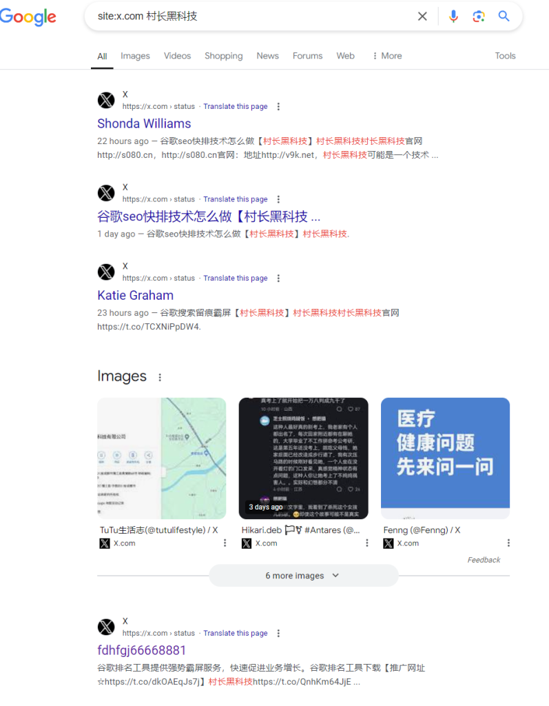 图片[4]_Twitter（X）推特发帖软件工具，推特发帖协议软件Twitter（X）推特发帖软件_村长黑科技